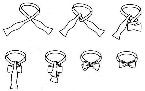 نمط ربطة عنق بيديك: نموذج على شريط مطاطي و أرستقراطية فراشة ساموفياز