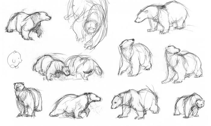 كيفية رسم الدب جميل؟
