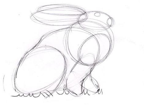 كيفية رسم الأرنب على مراحل