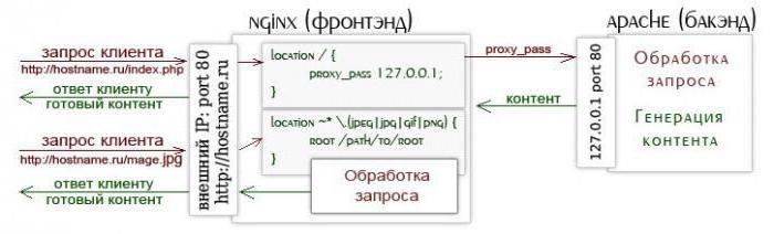 تثبيت وتكوين nginx