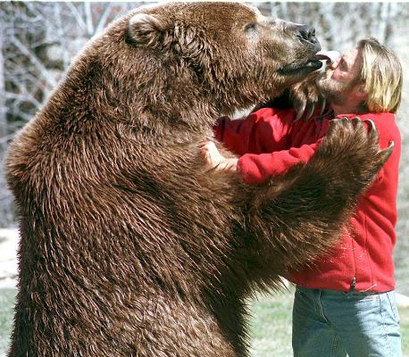 الممثل غير نمطي بارت. الدب في هوليوود