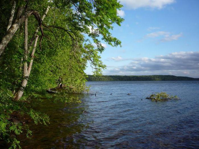 بحيرة غلوبوكو (منطقة لينينغراد) هو المكان المثالي لقضاء عطلة